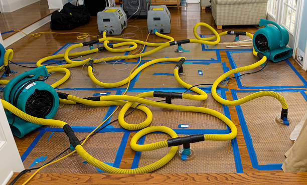 Professional Water Extraction technician working in Springfield, TN
